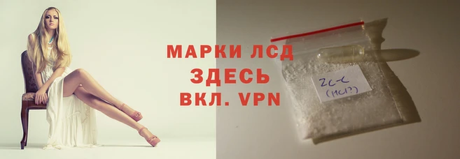 ALPHA PVP Беломорск