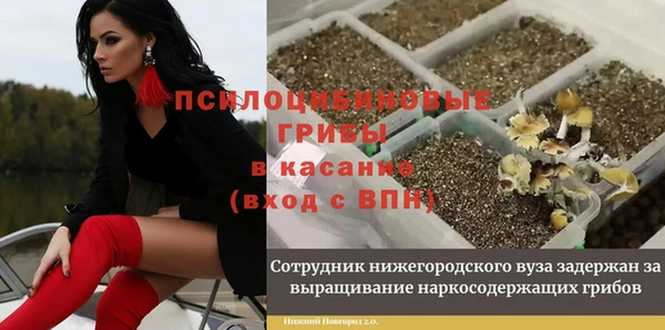ALPHA PVP Беломорск