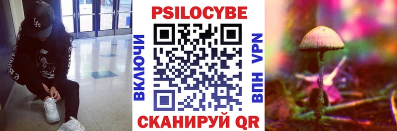 Псилоцибиновые грибы Psilocybe  Купить  Нягань 